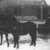 Augustus &amp; Carolyn Rowe